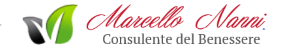Logo Marcello Nanni1.png